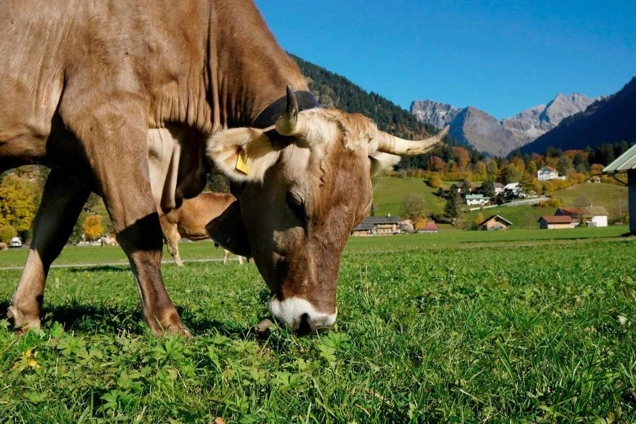 Wiesenblick Oberstdorf 0*,  Almanya