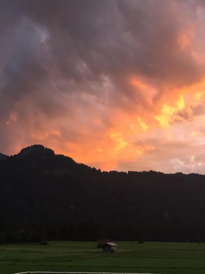 Wiesenblick Oberstdorf